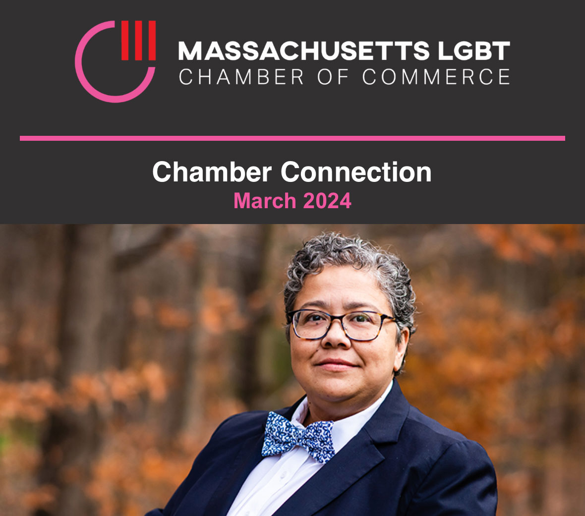Header image of the Mass LGBT Chamber of Commerce March's Newsletter