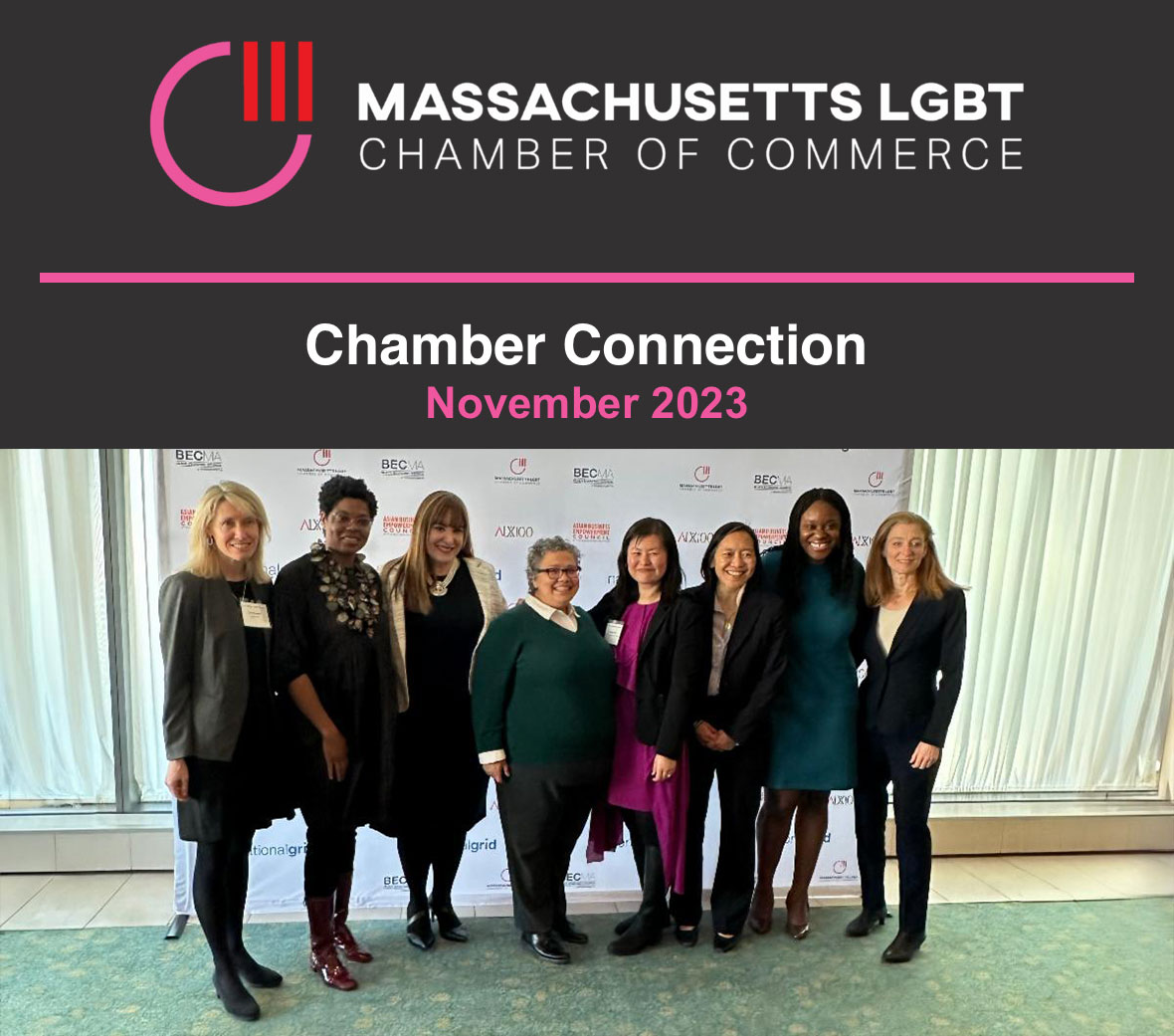 Header image of the Mass LGBT Chamber of Commerce November's Newsletter